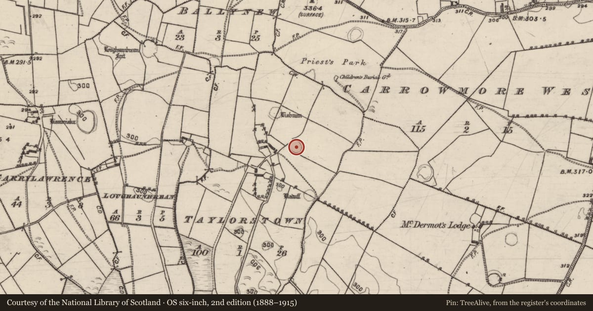 Ordnance Survey six-inch map, 2nd edition (1888–1915) covering the location of Ringfort - rath, Taylorstown, County Galway, with a pin at the register's coordinates