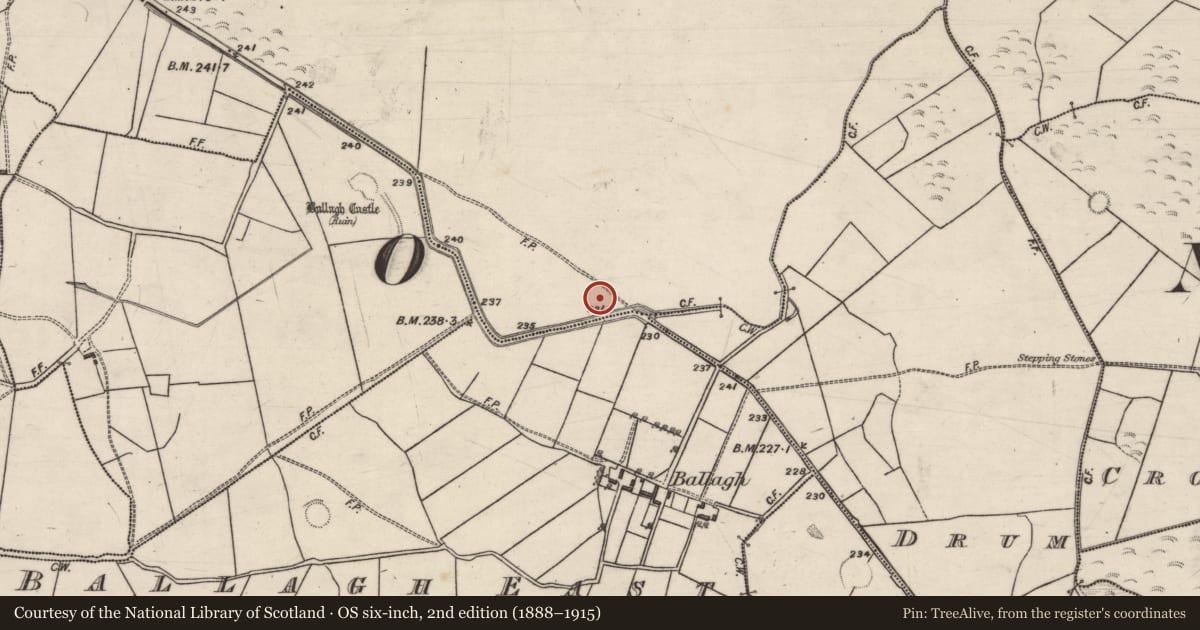 Ordnance Survey six-inch map, 2nd edition (1888–1915) covering the location of Quarry, Tristaun, County Galway, with a pin at the register's coordinates