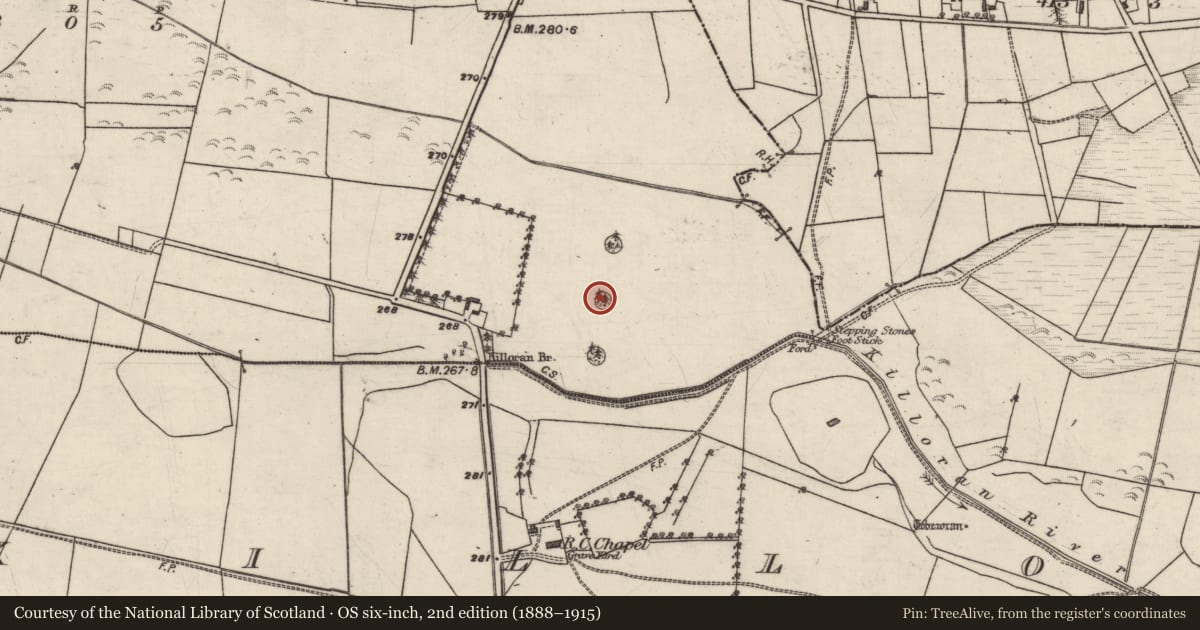 Ordnance Survey six-inch map, 2nd edition (1888–1915) covering the location of Enclosure, Lowpark, County Galway, with a pin at the register's coordinates