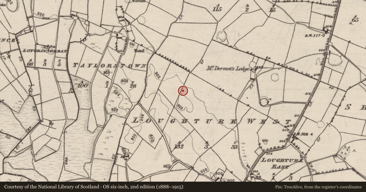 Ordnance Survey six-inch map, 2nd edition (1888–1915) covering the location of Field system, Loughturk West, County Galway, with a pin at the register's coordinates