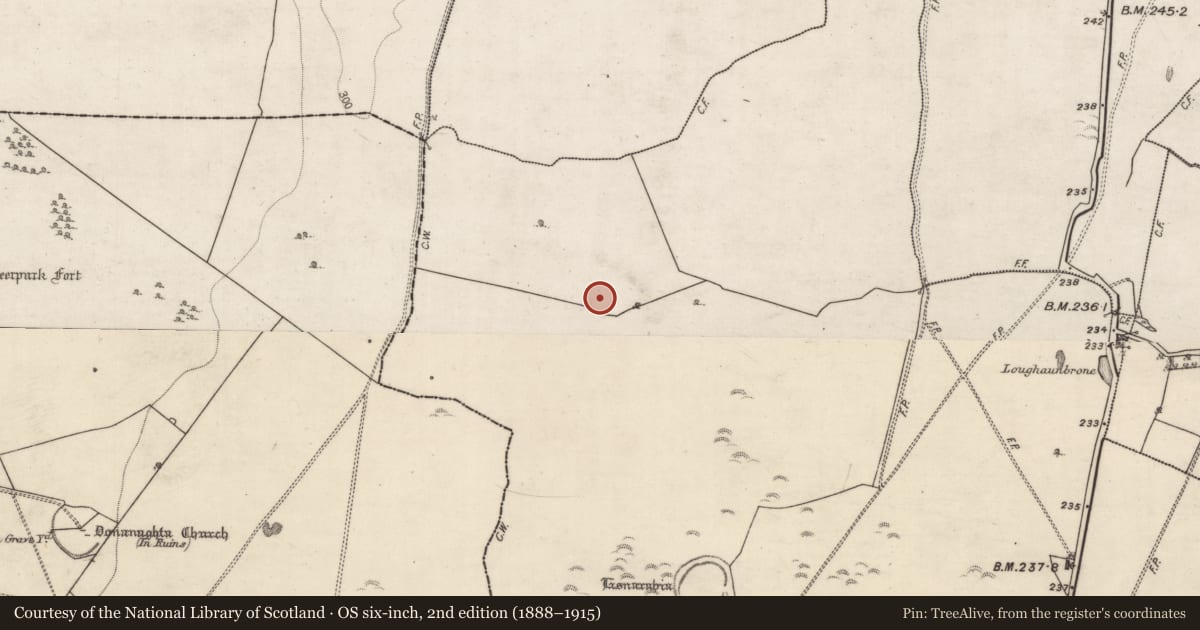 Ordnance Survey six-inch map, 2nd edition (1888–1915) covering the location of Ringfort - rath, Abbeyland Great, County Galway, with a pin at the register's coordinates