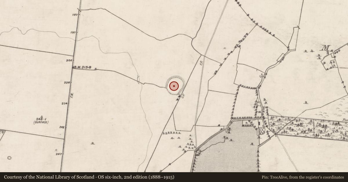 Ordnance Survey six-inch map, 2nd edition (1888–1915) covering the location of Enclosure - large enclosure, Annaghcorrib, County Galway, with a pin at the register's coordinates