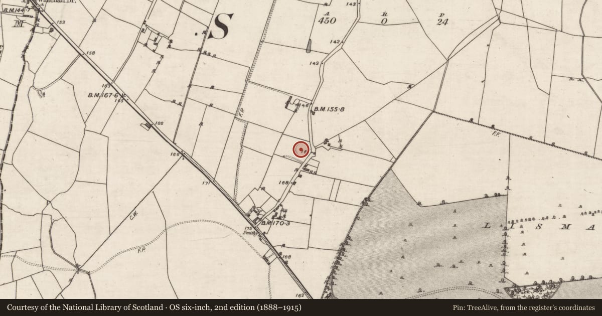 Ordnance Survey six-inch map, 2nd edition (1888–1915) covering the location of Ringfort - rath, Ballymanagh, County Galway, with a pin at the register's coordinates