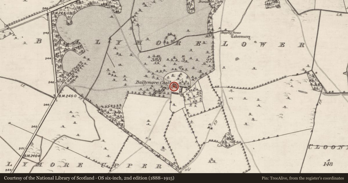 Ordnance Survey six-inch map, 2nd edition (1888–1915) covering the location of Castle - tower house, Ballymore Lower, County Galway, with a pin at the register's coordinates