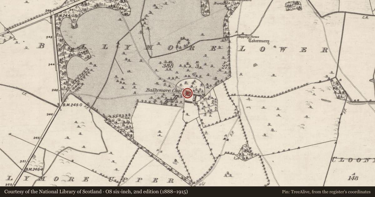 Ordnance Survey six-inch map, 2nd edition (1888–1915) covering the location of Country house, Ballymore Lower, County Galway, with a pin at the register's coordinates