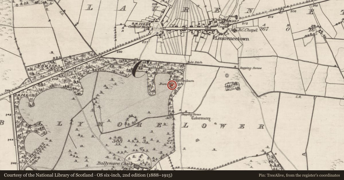 Ordnance Survey six-inch map, 2nd edition (1888–1915) covering the location of Burial ground, Ballymore Lower, County Galway, with a pin at the register's coordinates
