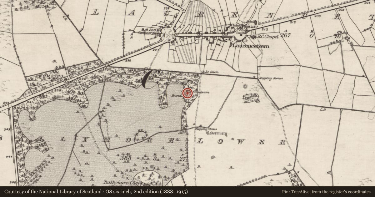 Ordnance Survey six-inch map, 2nd edition (1888–1915) covering the location of Mausoleum, Ballymore Lower, County Galway, with a pin at the register's coordinates