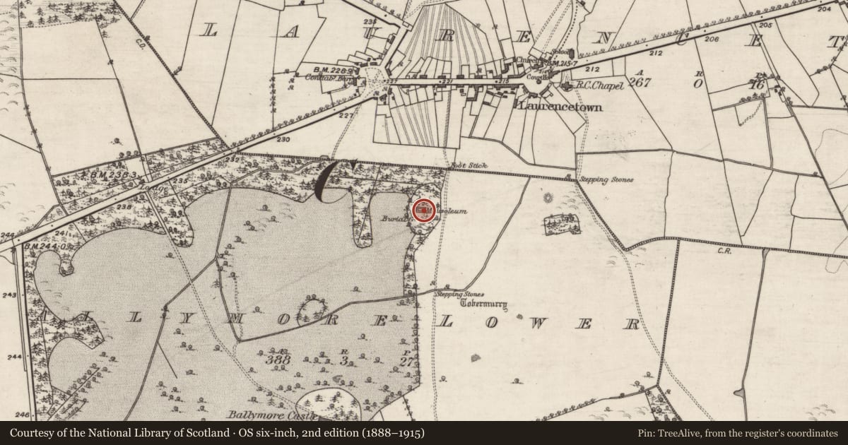 Ordnance Survey six-inch map, 2nd edition (1888–1915) covering the location of Ecclesiastical enclosure, Ballymore Lower, County Galway, with a pin at the register's coordinates