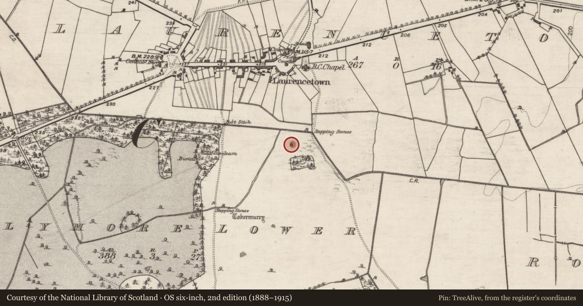 Ordnance Survey six-inch map, 2nd edition (1888–1915) covering the location of Enclosure, Ballymore Lower, County Galway, with a pin at the register's coordinates
