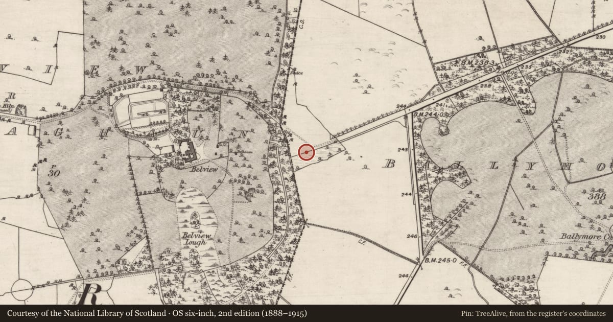 Ordnance Survey six-inch map, 2nd edition (1888–1915) covering the location of Designed landscape - folly, Ballymore Lower, County Galway, with a pin at the register's coordinates
