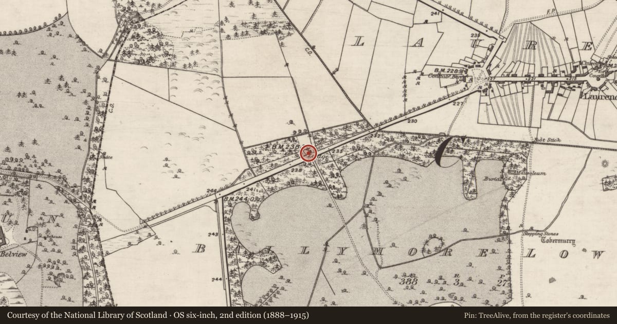 Ordnance Survey six-inch map, 2nd edition (1888–1915) covering the location of Gate lodge, Ballymore Lower, County Galway, with a pin at the register's coordinates