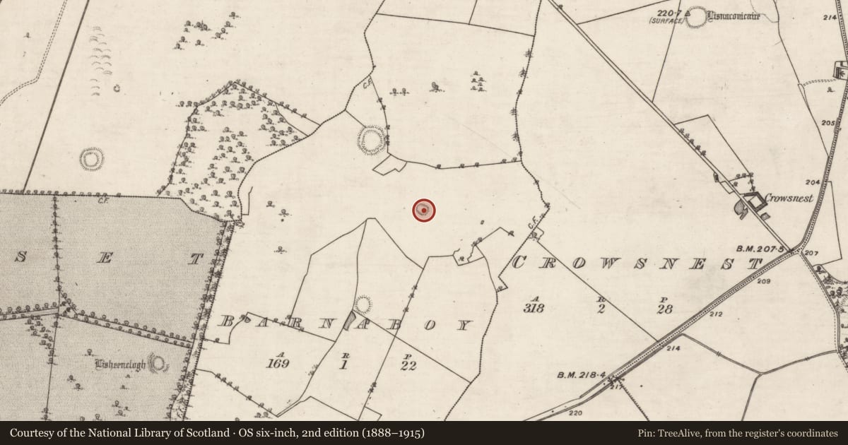 Ordnance Survey six-inch map, 2nd edition (1888–1915) covering the location of Ringfort - rath, Barnaboy, County Galway, with a pin at the register's coordinates