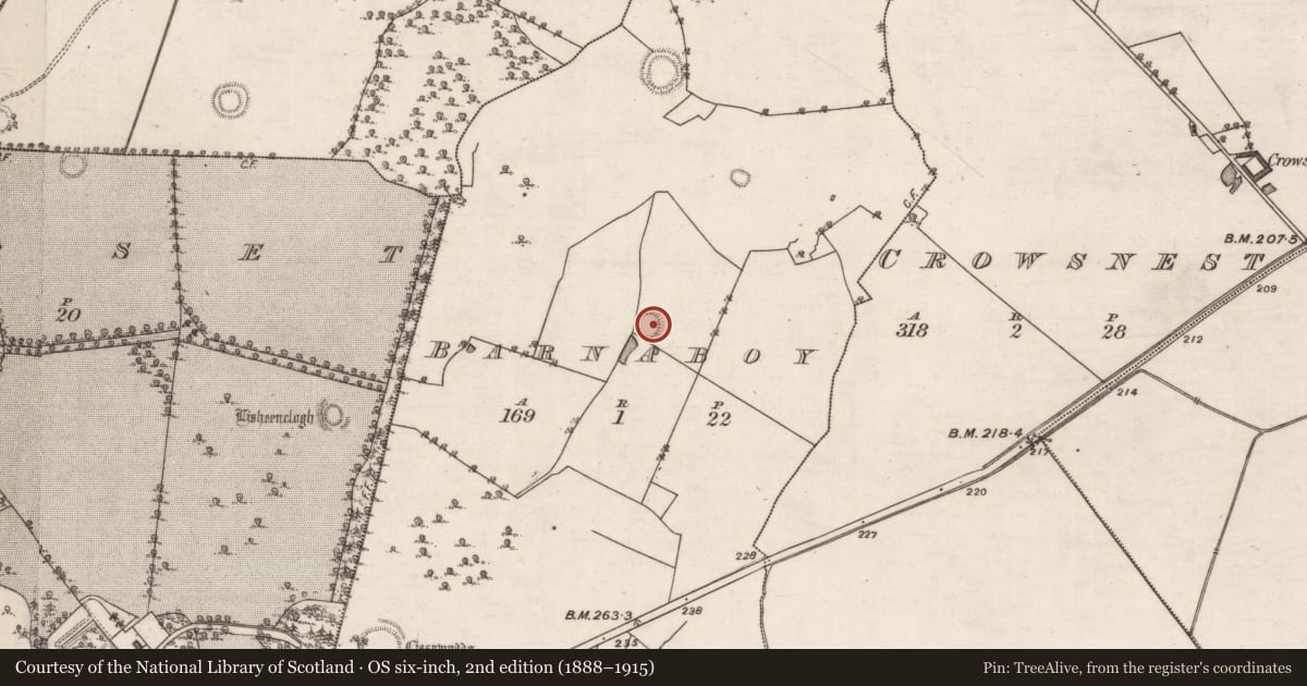 Ordnance Survey six-inch map, 2nd edition (1888–1915) covering the location of Ringfort - rath, Barnaboy, County Galway, with a pin at the register's coordinates