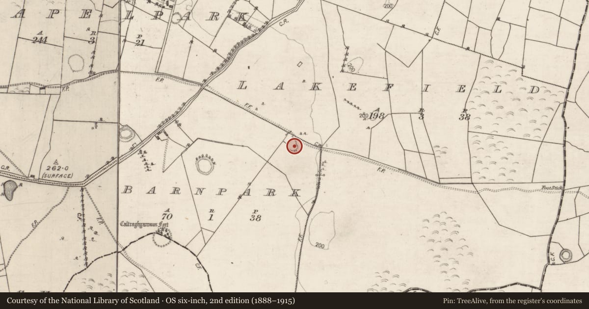 Ordnance Survey six-inch map, 2nd edition (1888–1915) covering the location of Ringfort - rath, Barnpark, County Galway, with a pin at the register's coordinates