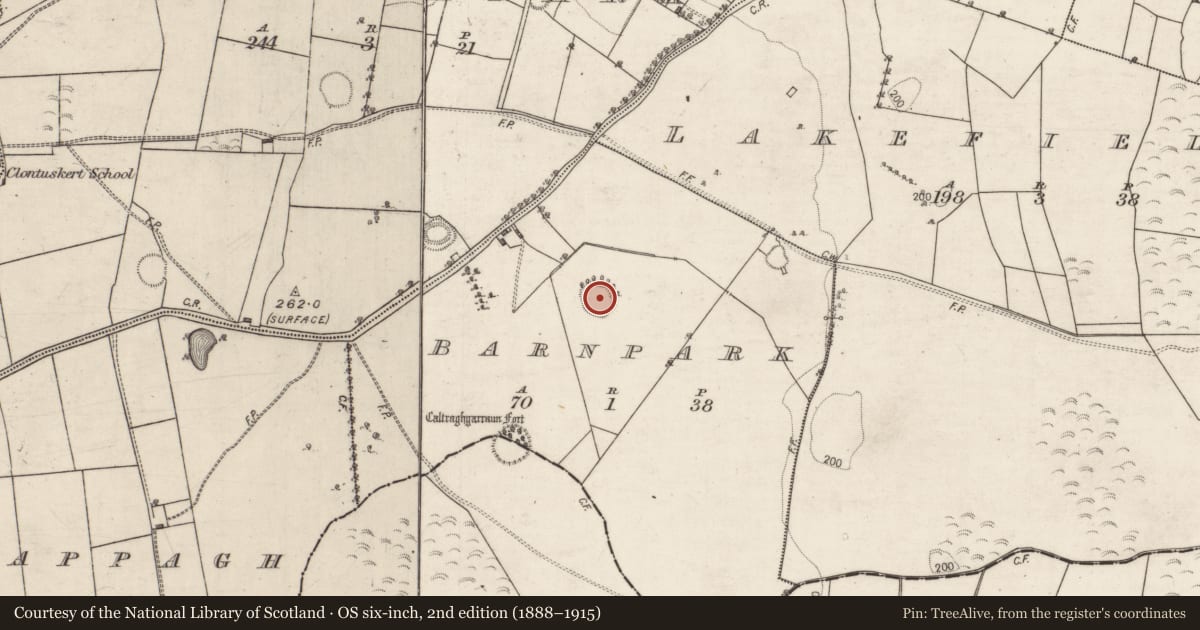 Ordnance Survey six-inch map, 2nd edition (1888–1915) covering the location of Ringfort - rath, Barnpark, County Galway, with a pin at the register's coordinates