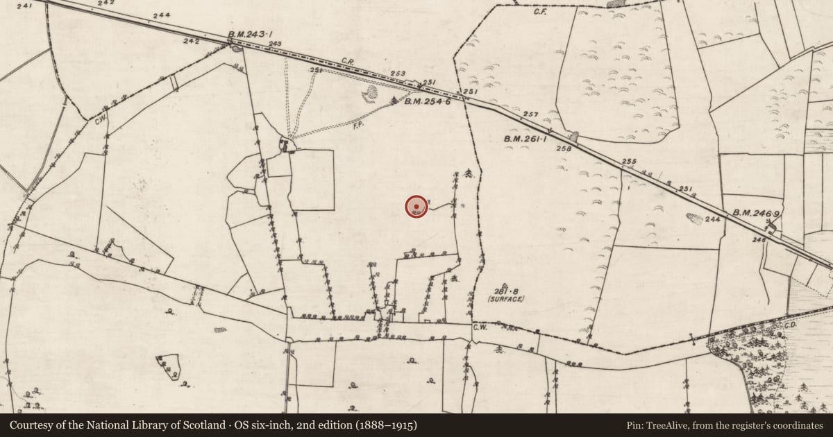 Ordnance Survey six-inch map, 2nd edition (1888–1915) covering the location of Enclosure, Belview Or Lissareaghaun, County Galway, with a pin at the register's coordinates