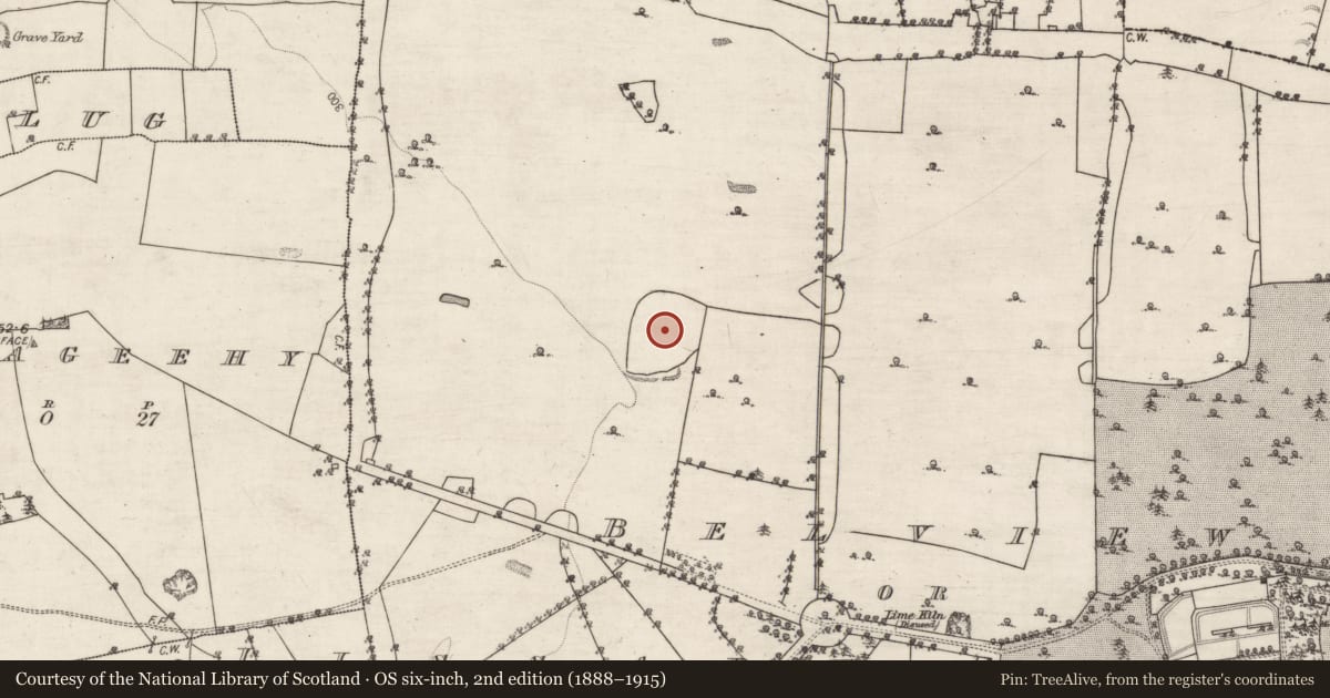 Ordnance Survey six-inch map, 2nd edition (1888–1915) covering the location of Designed landscape feature, Belview Or Lissareaghaun, County Galway, with a pin at the register's coordinates