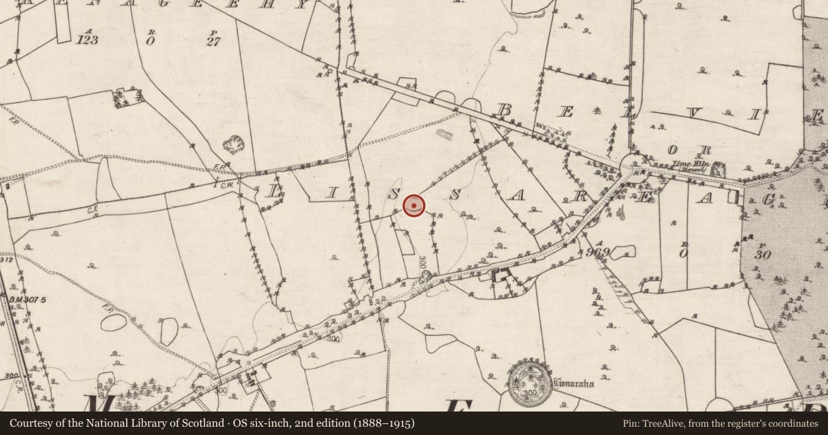 Ordnance Survey six-inch map, 2nd edition (1888–1915) covering the location of Designed landscape - tree-ring, Belview Or Lissareaghaun, County Galway, with a pin at the register's coordinates