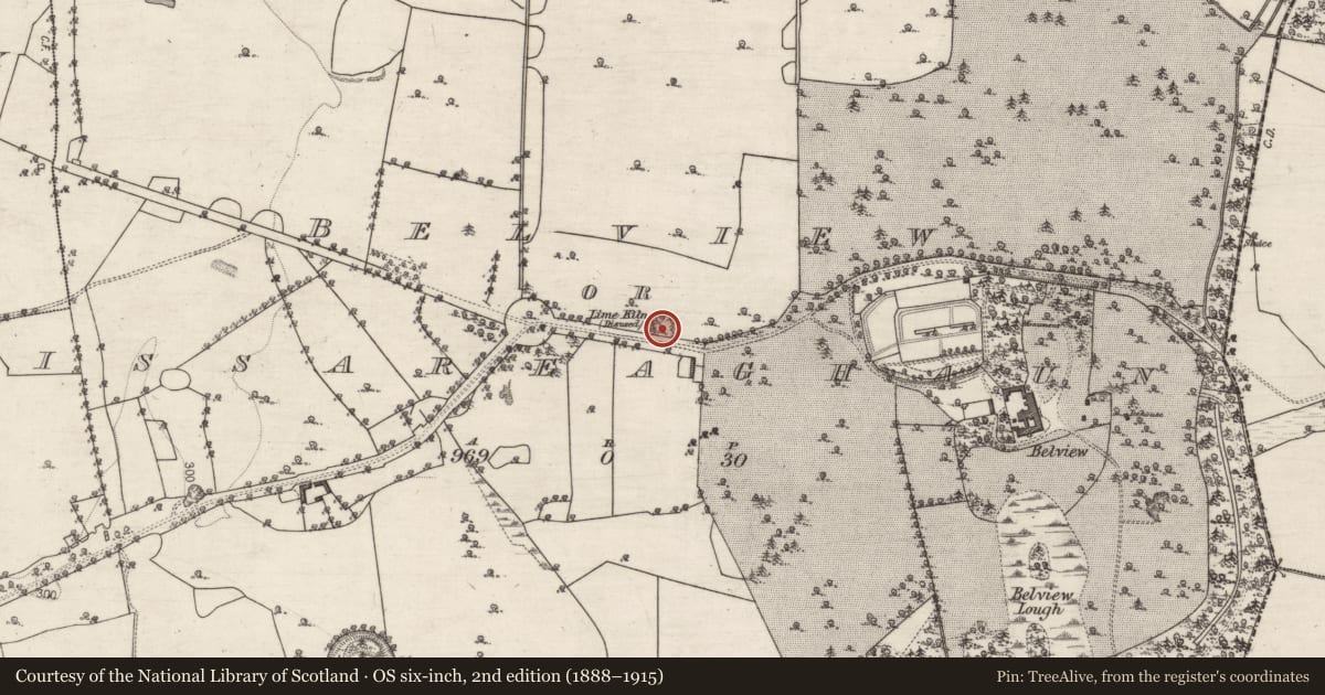 Ordnance Survey six-inch map, 2nd edition (1888–1915) covering the location of Quarry, Belview Or Lissareaghaun, County Galway, with a pin at the register's coordinates