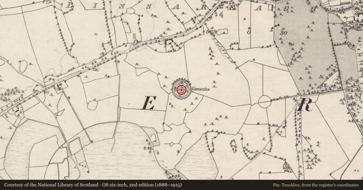 Ordnance Survey six-inch map, 2nd edition (1888–1915) covering the location of Structure, Belview Or Lissareaghaun, County Galway, with a pin at the register's coordinates