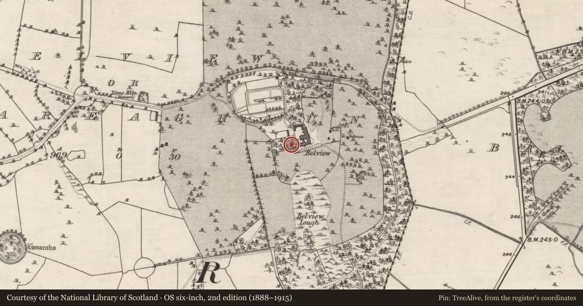 Ordnance Survey six-inch map, 2nd edition (1888–1915) covering the location of Country house, Belview Or Lissareaghaun, County Galway, with a pin at the register's coordinates