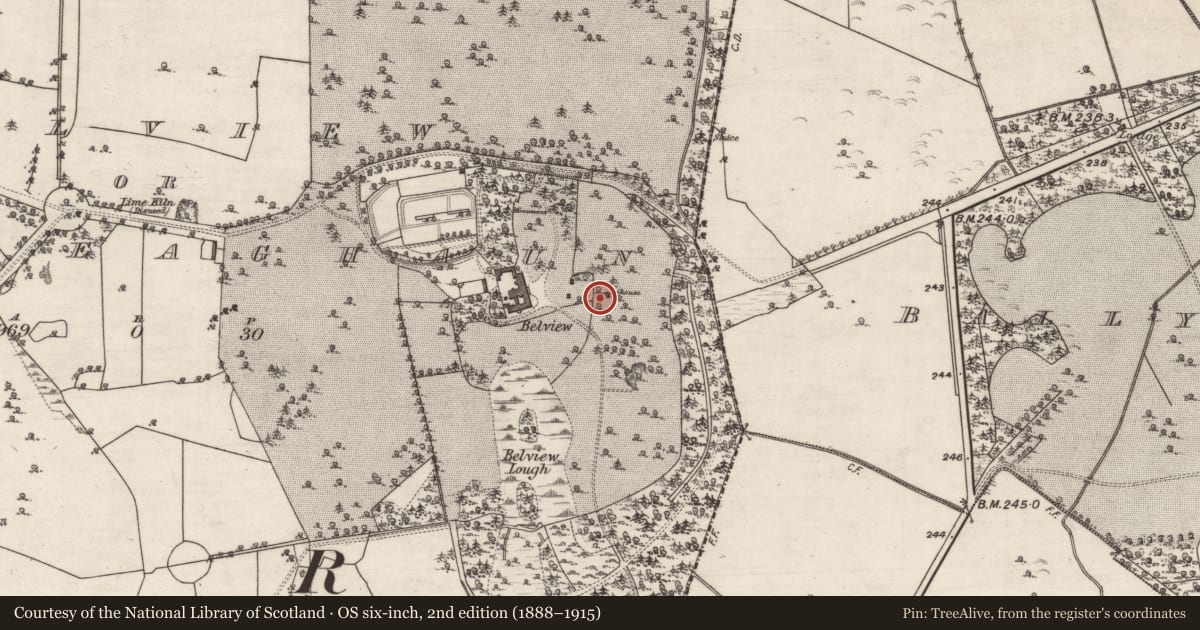 Ordnance Survey six-inch map, 2nd edition (1888–1915) covering the location of Icehouse, Belview Or Lissareaghaun, County Galway, with a pin at the register's coordinates