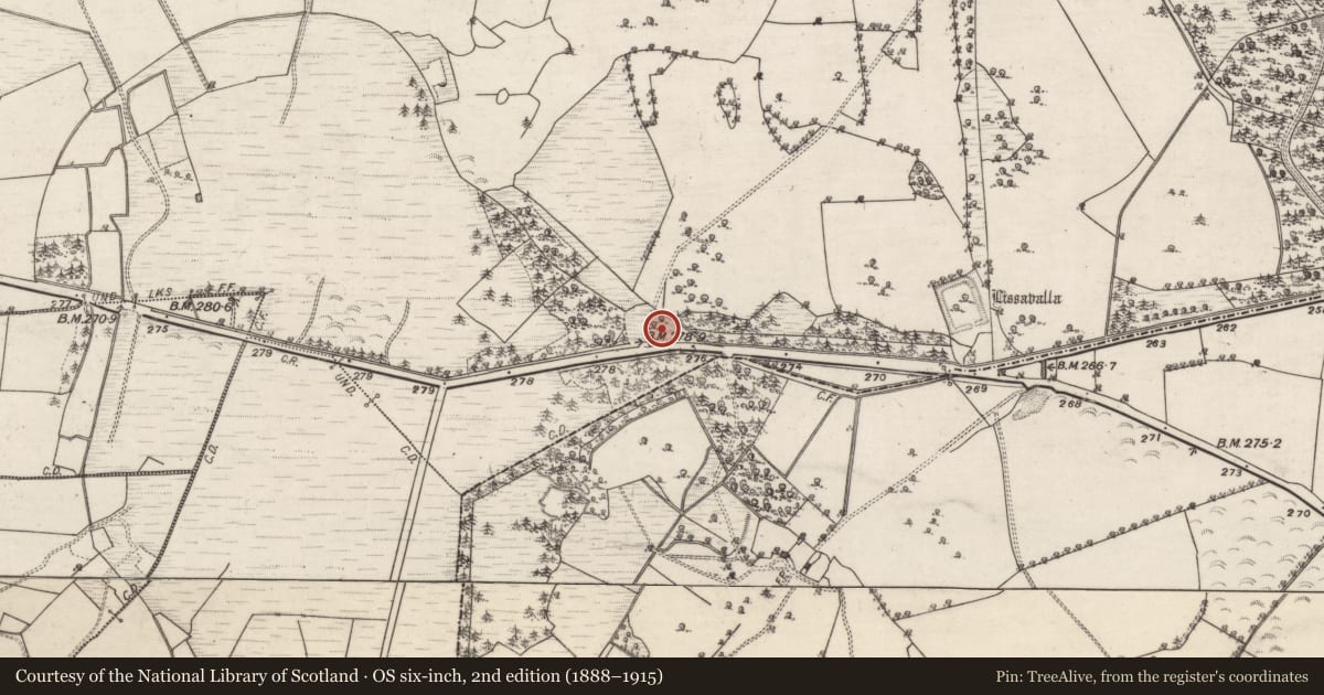 Ordnance Survey six-inch map, 2nd edition (1888–1915) covering the location of Earthwork, Belview Or Lissareaghaun, County Galway, with a pin at the register's coordinates