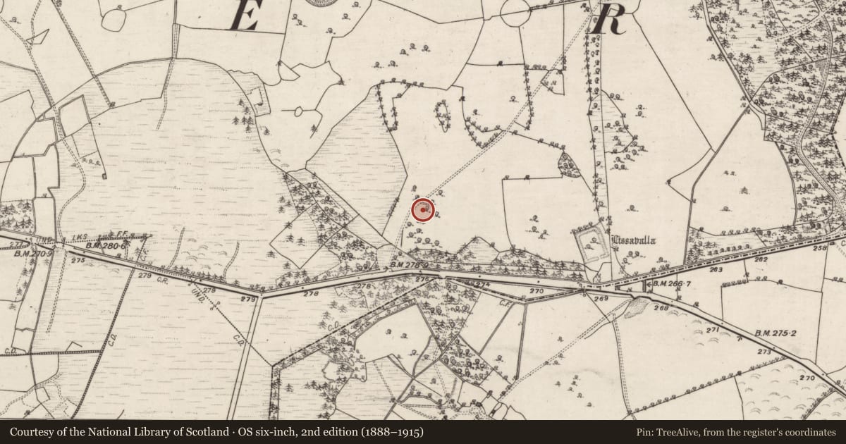 Ordnance Survey six-inch map, 2nd edition (1888–1915) covering the location of House - 18th/19th century, Belview Or Lissareaghaun, County Galway, with a pin at the register's coordinates