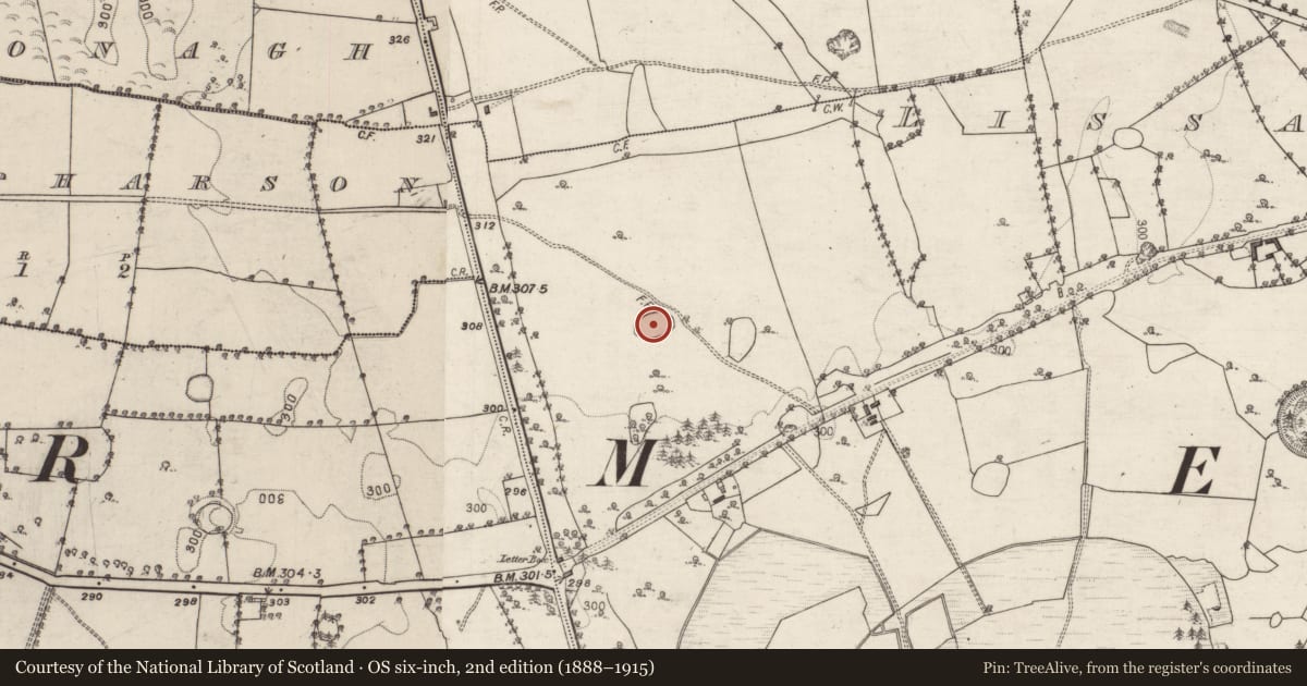 Ordnance Survey six-inch map, 2nd edition (1888–1915) covering the location of Designed landscape - tree-ring, Belview Or Lissareaghaun, County Galway, with a pin at the register's coordinates