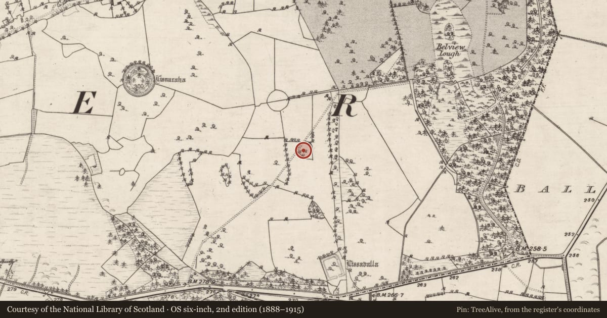 Ordnance Survey six-inch map, 2nd edition (1888–1915) covering the location of Designed landscape - tree-ring, Belview Or Lissareaghaun, County Galway, with a pin at the register's coordinates