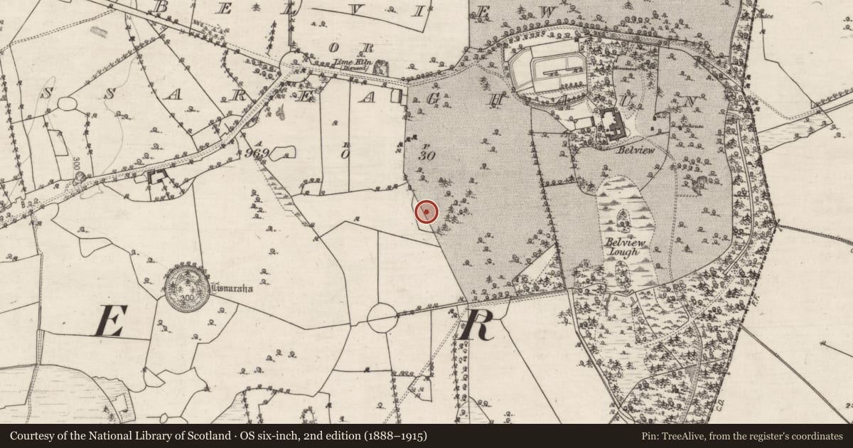 Ordnance Survey six-inch map, 2nd edition (1888–1915) covering the location of Designed landscape feature, Belview Or Lissareaghaun, County Galway, with a pin at the register's coordinates