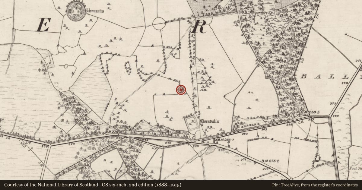 Ordnance Survey six-inch map, 2nd edition (1888–1915) covering the location of Designed landscape - tree-ring, Belview Or Lissareaghaun, County Galway, with a pin at the register's coordinates