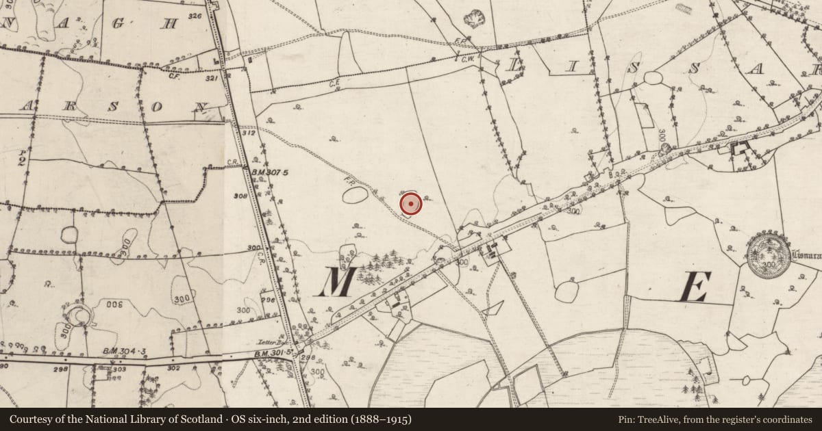 Ordnance Survey six-inch map, 2nd edition (1888–1915) covering the location of Designed landscape - tree-ring, Belview Or Lissareaghaun, County Galway, with a pin at the register's coordinates