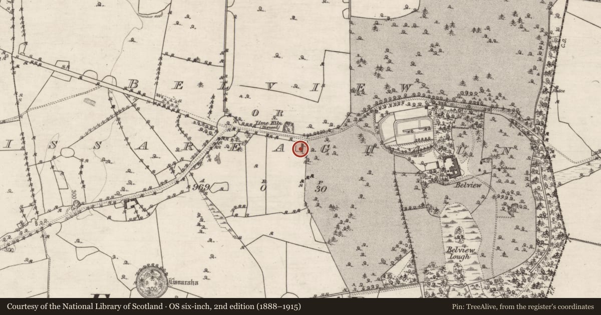 Ordnance Survey six-inch map, 2nd edition (1888–1915) covering the location of House - 18th/19th century, Belview Or Lissareaghaun, County Galway, with a pin at the register's coordinates