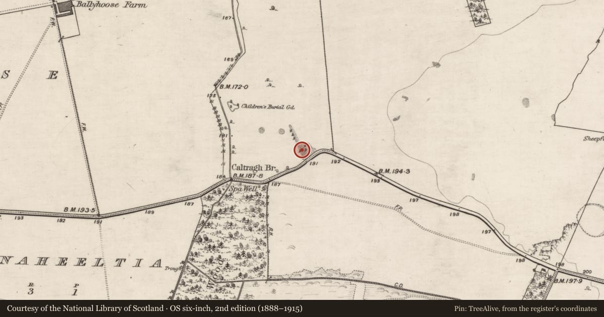 Ordnance Survey six-inch map, 2nd edition (1888–1915) covering the location of Quarry, Caltragh, County Galway, with a pin at the register's coordinates