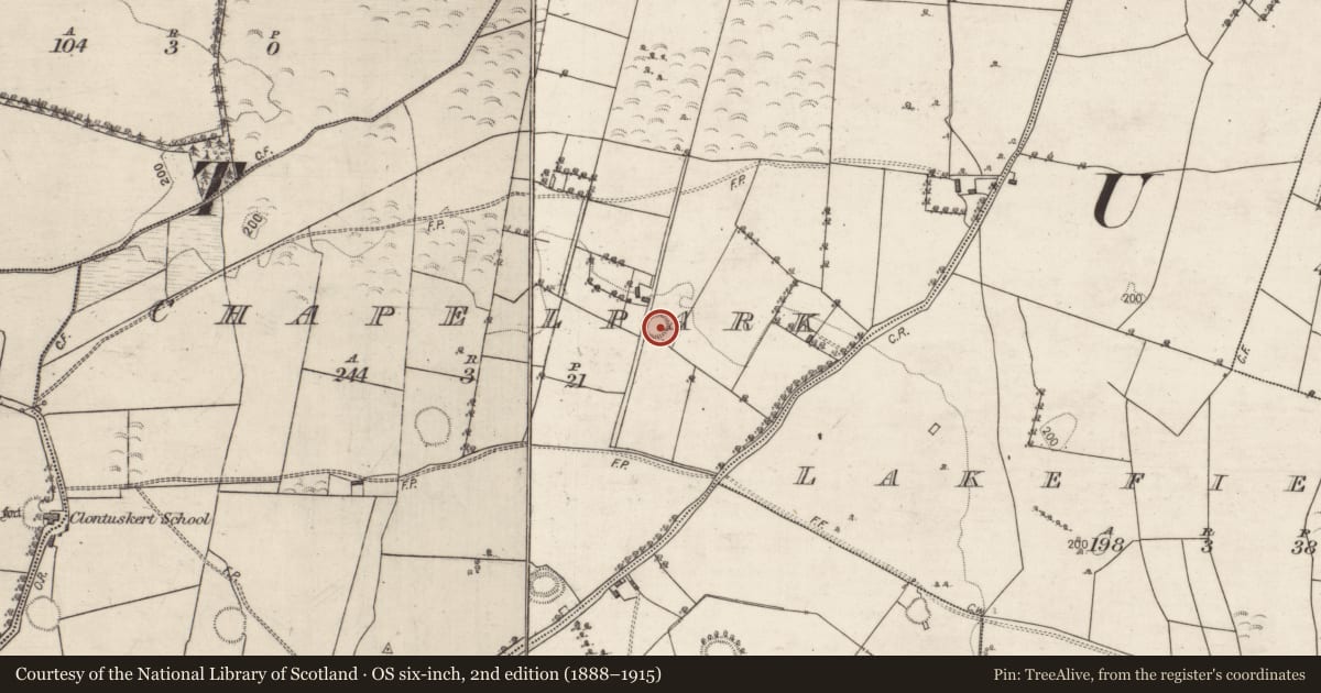 Ordnance Survey six-inch map, 2nd edition (1888–1915) covering the location of Ringfort - rath, Chapelpark, County Galway, with a pin at the register's coordinates