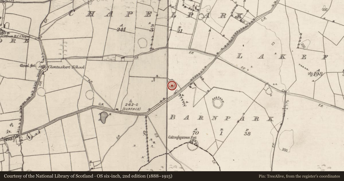 Ordnance Survey six-inch map, 2nd edition (1888–1915) covering the location of Ringfort - rath, Chapelpark, County Galway, with a pin at the register's coordinates