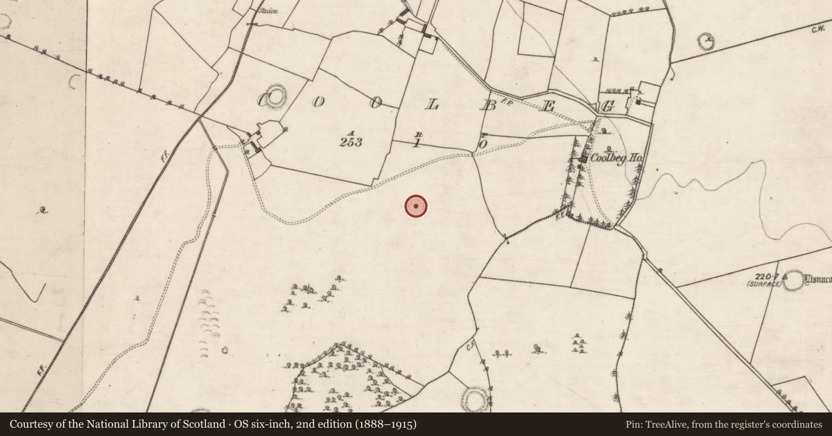 Ordnance Survey six-inch map, 2nd edition (1888–1915) covering the location of Ringfort - rath, Coolbeg, County Galway, with a pin at the register's coordinates