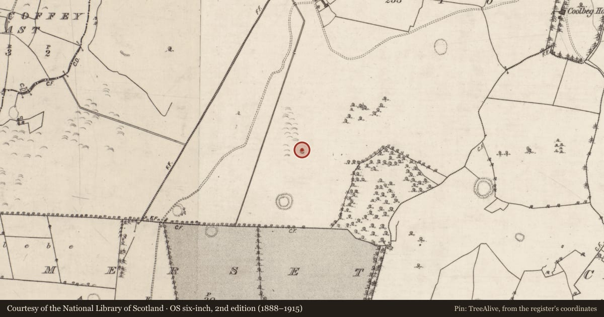 Ordnance Survey six-inch map, 2nd edition (1888–1915) covering the location of Mound, Coolbeg, County Galway, with a pin at the register's coordinates