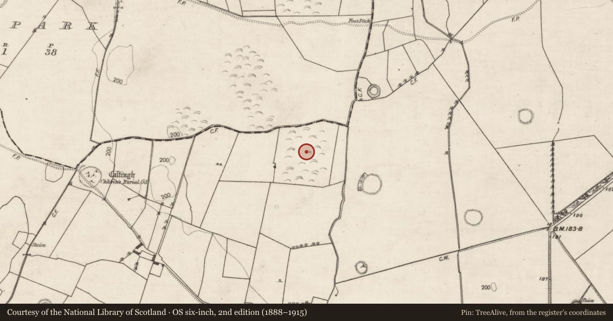 Ordnance Survey six-inch map, 2nd edition (1888–1915) covering the location of Designed landscape feature, Coolbeg, County Galway, with a pin at the register's coordinates