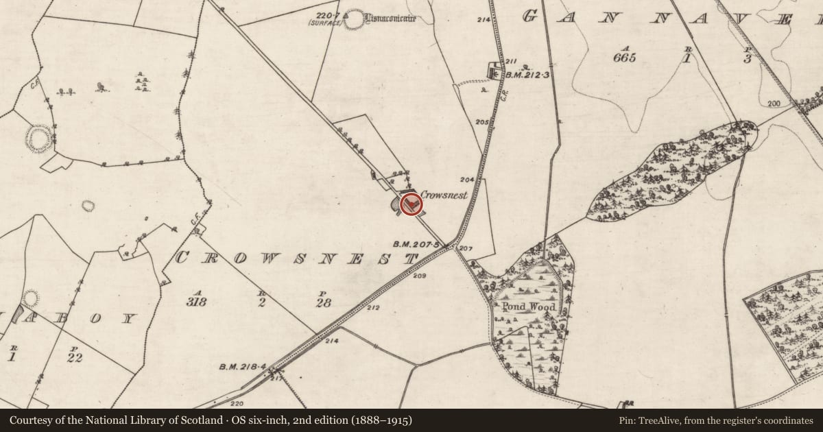Ordnance Survey six-inch map, 2nd edition (1888–1915) covering the location of House - 18th/19th century, Crowsnest, County Galway, with a pin at the register's coordinates
