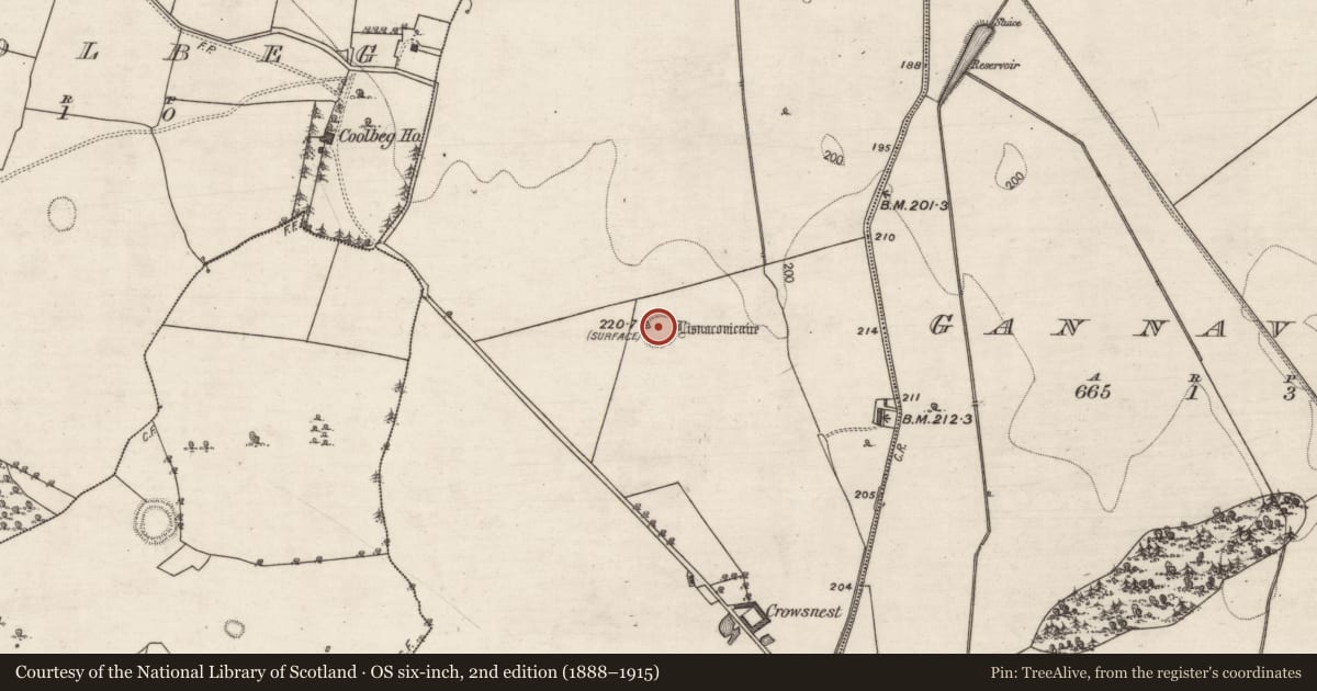 Ordnance Survey six-inch map, 2nd edition (1888–1915) covering the location of Ringfort - rath, Crowsnest, County Galway, with a pin at the register's coordinates