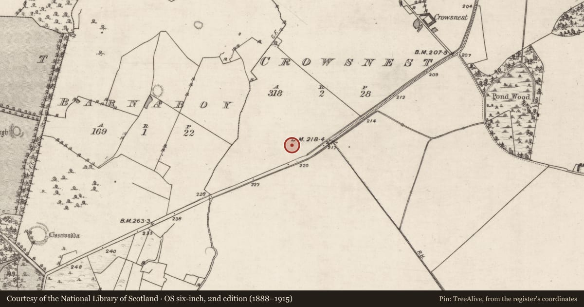 Ordnance Survey six-inch map, 2nd edition (1888–1915) covering the location of House - 20th century, Crowsnest, County Galway, with a pin at the register's coordinates