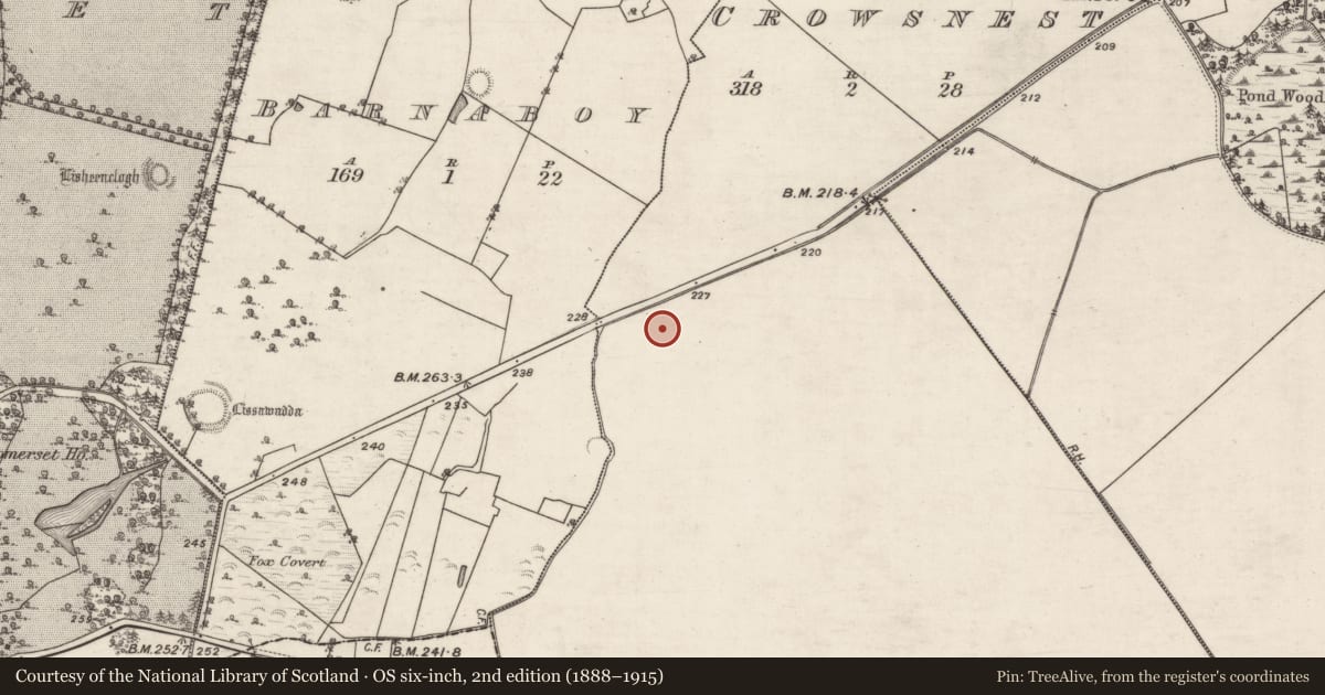 Ordnance Survey six-inch map, 2nd edition (1888–1915) covering the location of House - 20th century, Crowsnest, County Galway, with a pin at the register's coordinates
