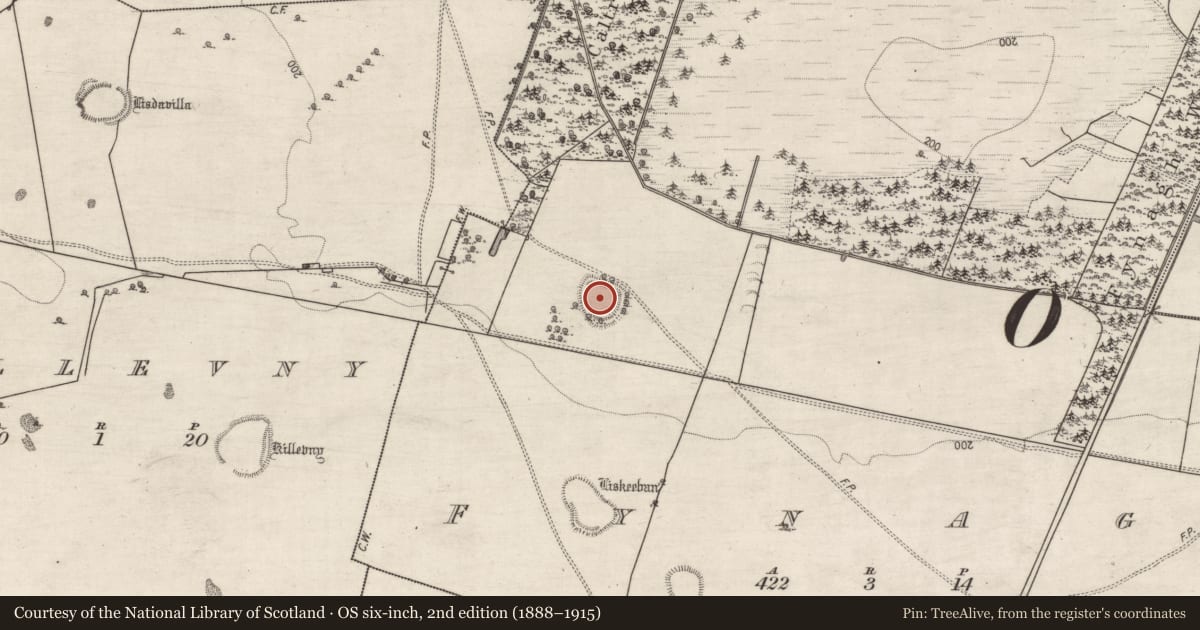 Ordnance Survey six-inch map, 2nd edition (1888–1915) covering the location of Ringfort - rath, Fynagh, County Galway, with a pin at the register's coordinates