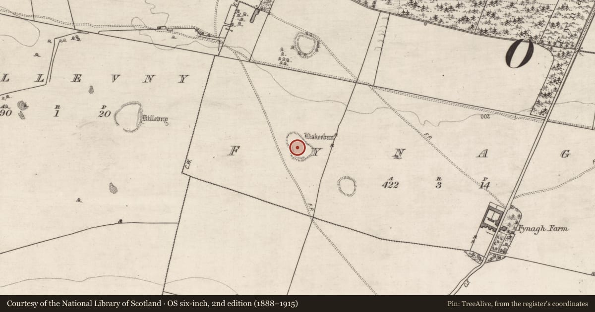 Ordnance Survey six-inch map, 2nd edition (1888–1915) covering the location of Enclosure, Fynagh, County Galway, with a pin at the register's coordinates