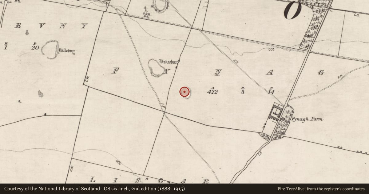 Ordnance Survey six-inch map, 2nd edition (1888–1915) covering the location of House - indeterminate date, Fynagh, County Galway, with a pin at the register's coordinates