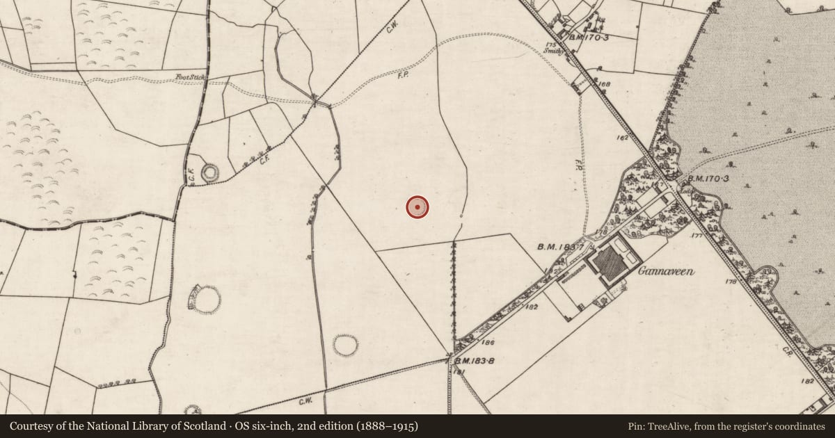 Ordnance Survey six-inch map, 2nd edition (1888–1915) covering the location of Ringfort - rath, Gannaveen, County Galway, with a pin at the register's coordinates