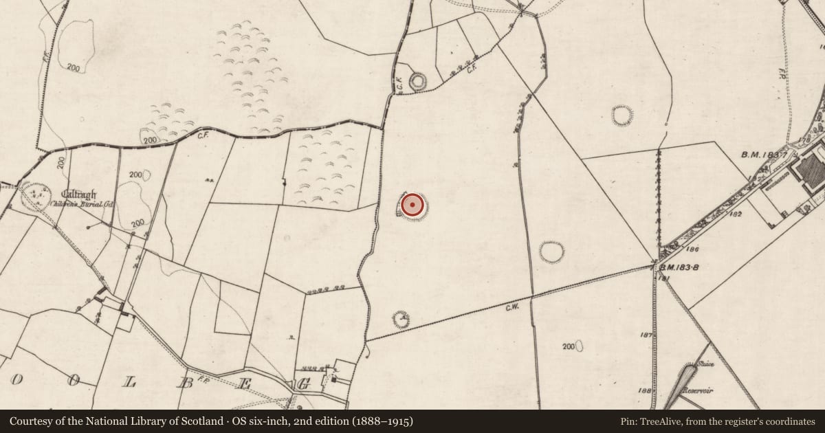 Ordnance Survey six-inch map, 2nd edition (1888–1915) covering the location of Ringfort - rath, Gannaveen, County Galway, with a pin at the register's coordinates