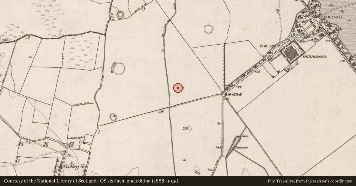 Ordnance Survey six-inch map, 2nd edition (1888–1915) covering the location of Ringfort - rath, Gannaveen, County Galway, with a pin at the register's coordinates